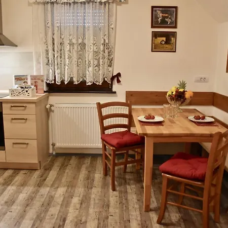 Ravnik Apartment