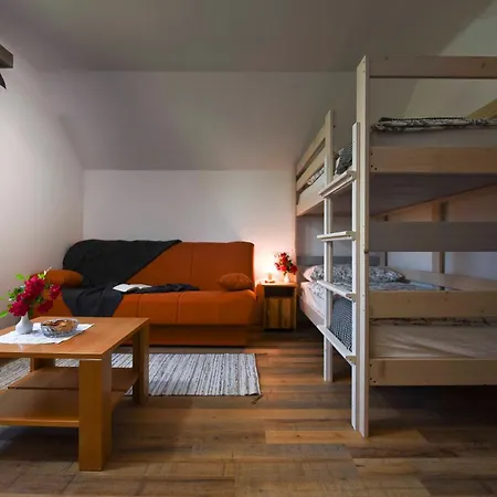 Ravnik Apartment *