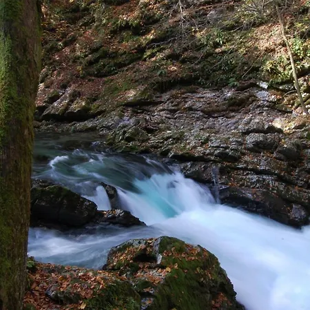 Apartman Ravnik Bled