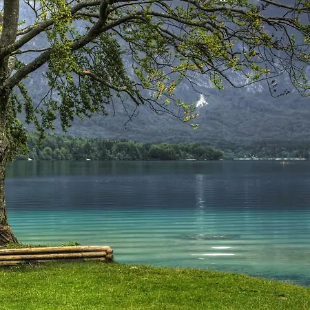 Ravnik アパート *