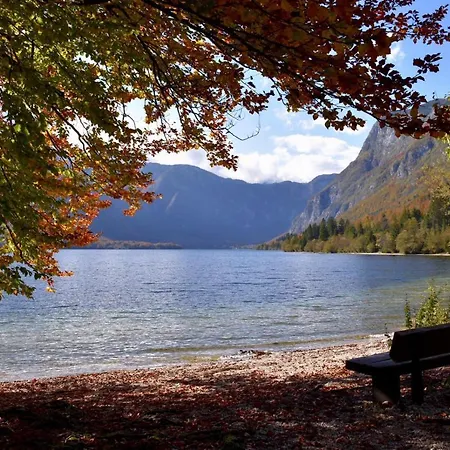 アパート Ravnik *