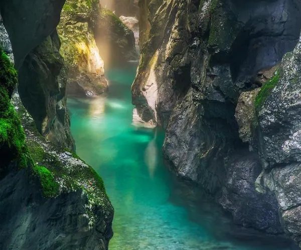 Ravnik Apartamento *