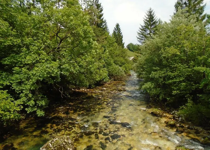 Ravnik Apartamento Bled