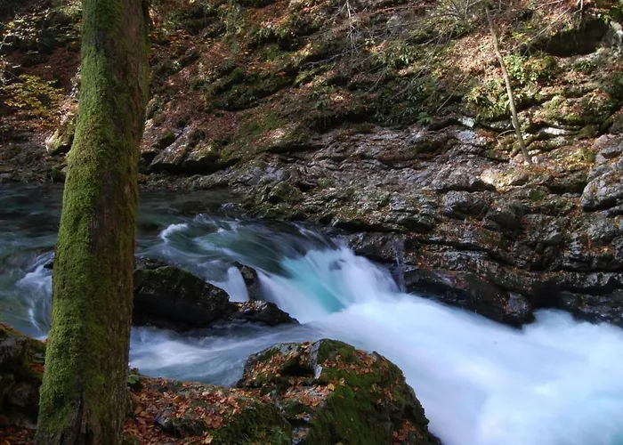 Apartment Ravnik Bled