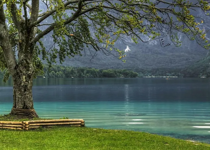 Ravnik Apartamento *