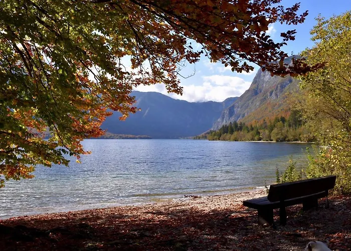 Apartamento Ravnik *